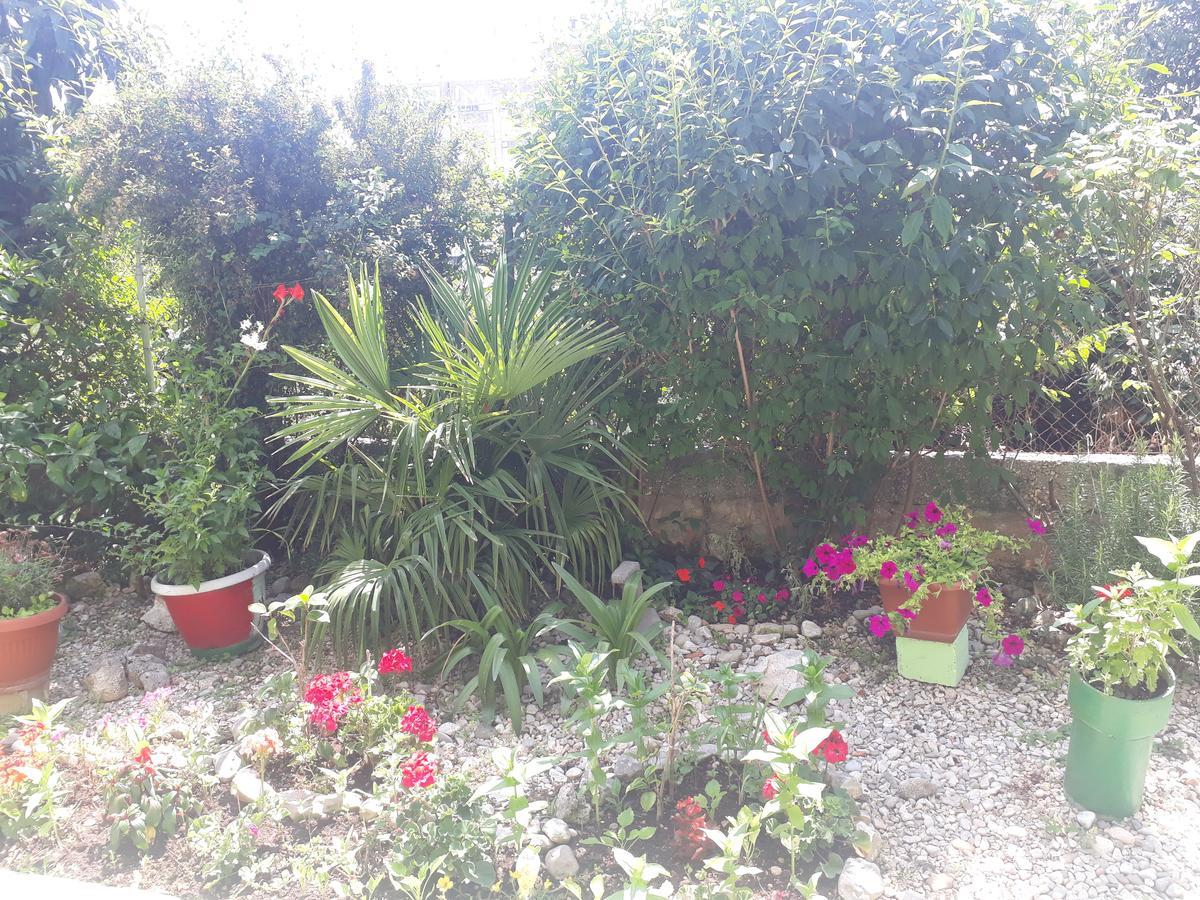 Green Hostel Zadar Zewnętrze zdjęcie