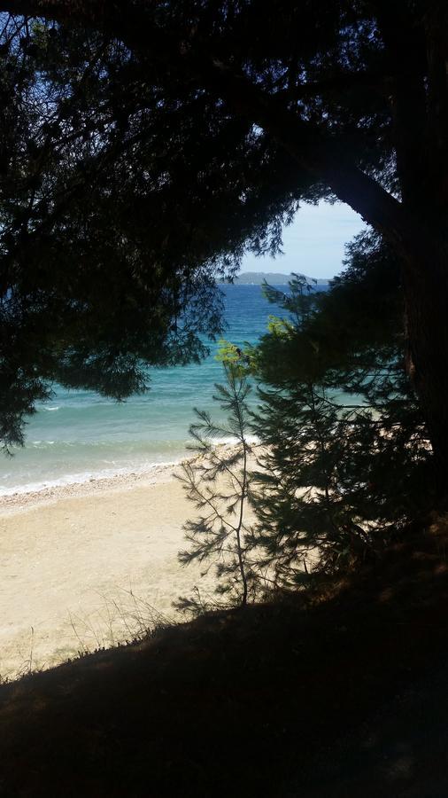 Green Hostel Zadar Zewnętrze zdjęcie